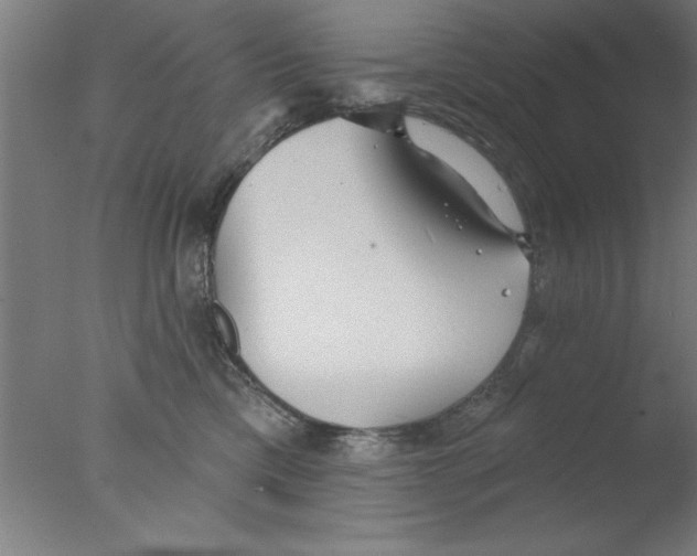 X0000076060425200610201953