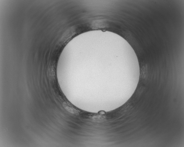 X0000076060426200610201953