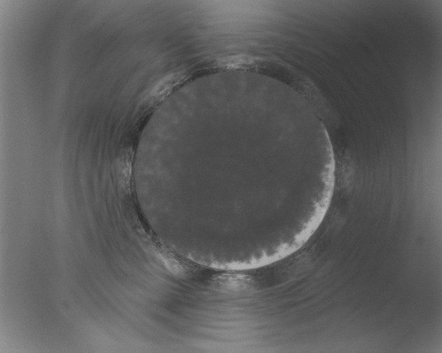 X0000076060427200610201953