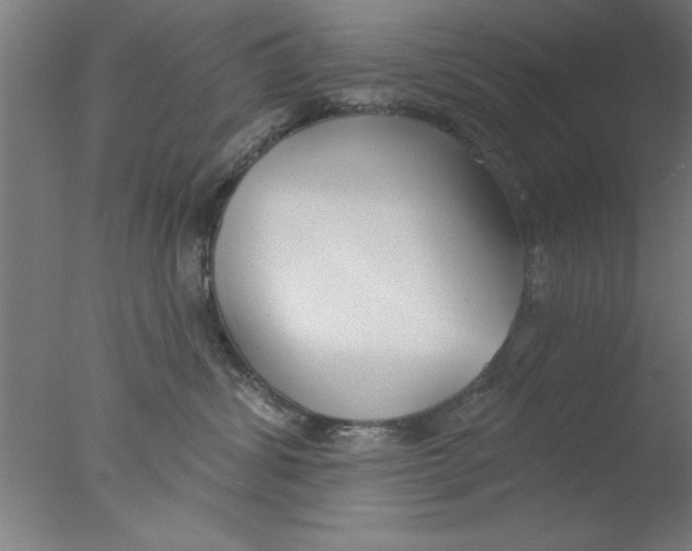 X0000076060428200610201953