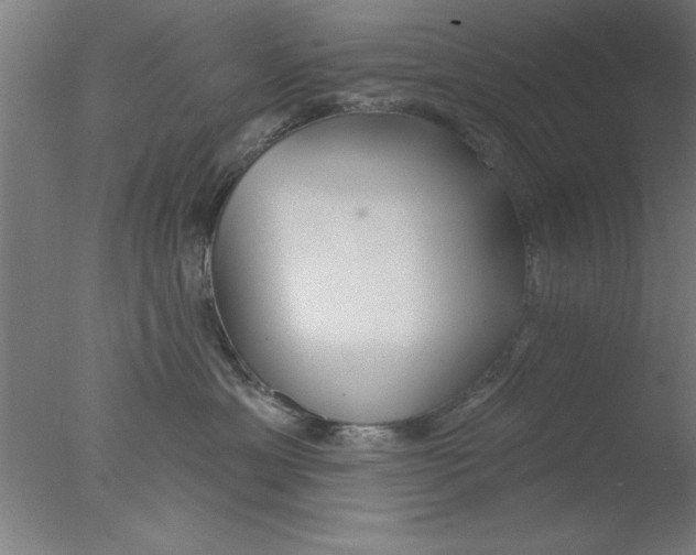 X0000076060429200610201953