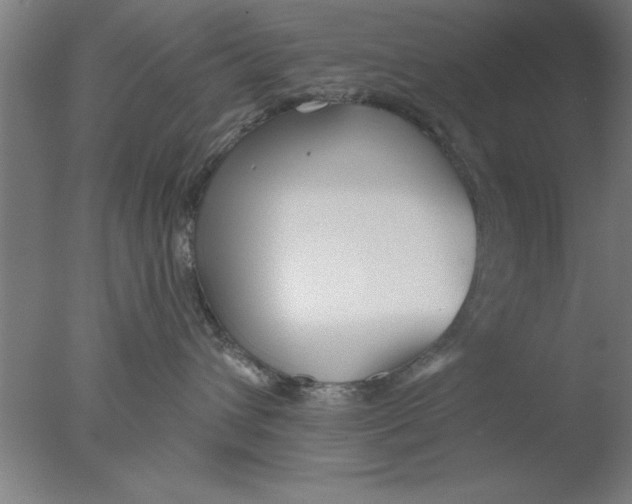 X0000076060432200610201953