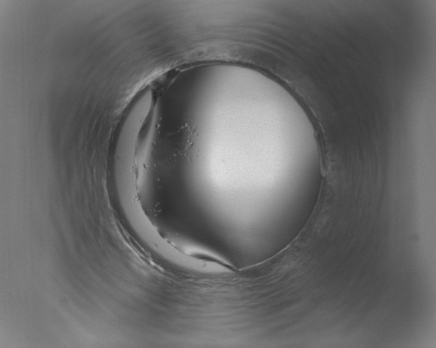 X0000076060434200610201952