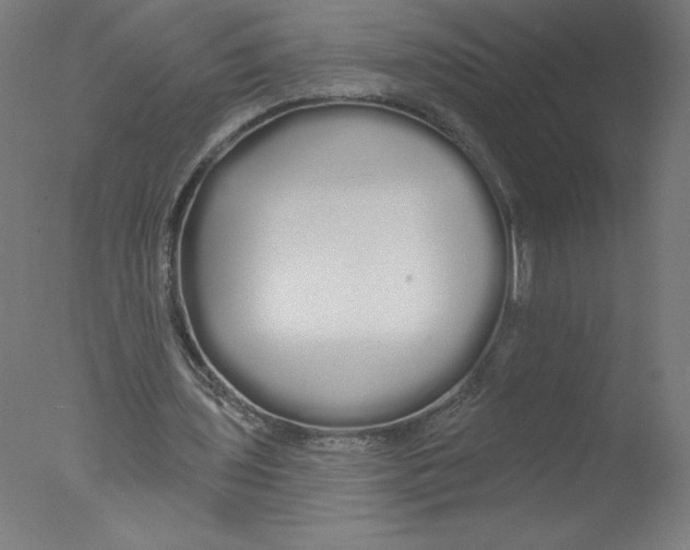 X0000076060435200610201952