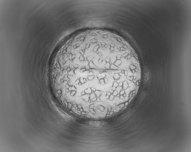 X0000076060439200610201952