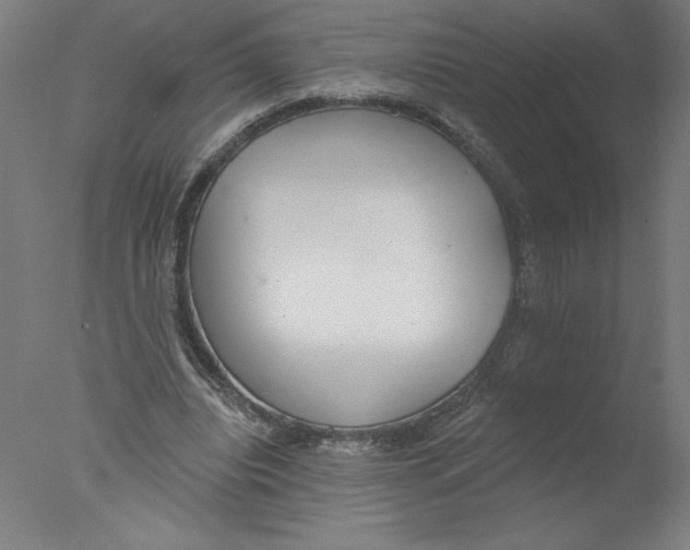 X0000076060440200610201952