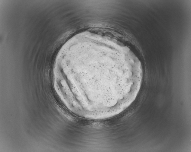 X0000076060441200610201952