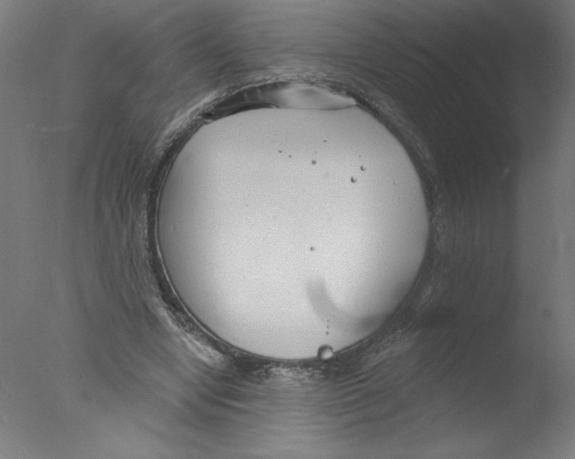 X0000076060442200610201952