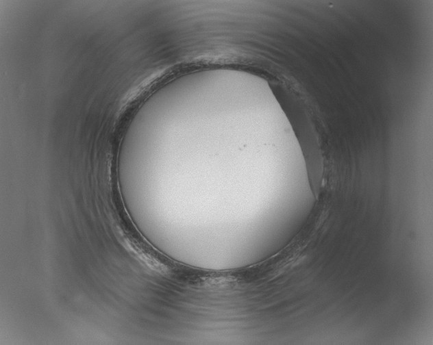 X0000076060446200610201952