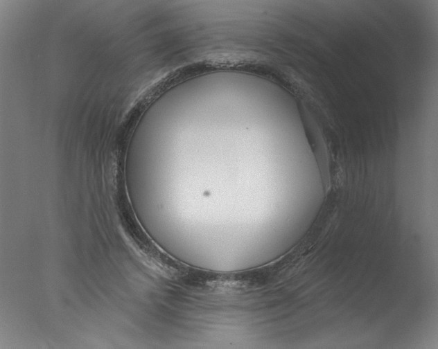 X0000076060448200610201952