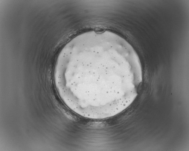 X0000076060449200610201952