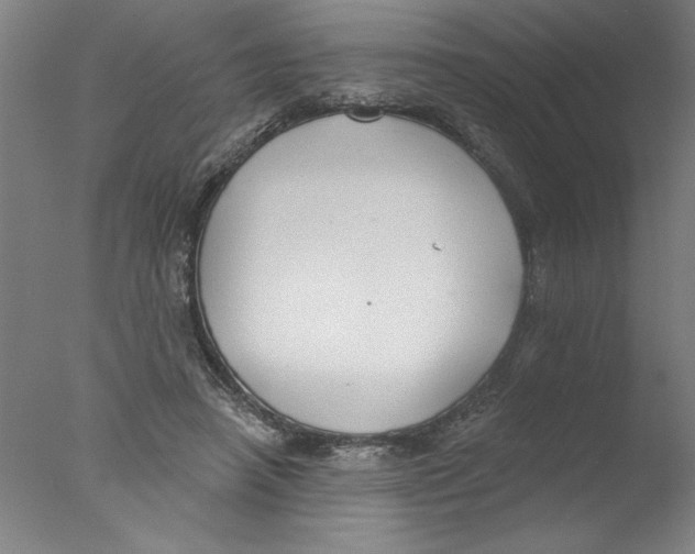 X0000076060450200610201952