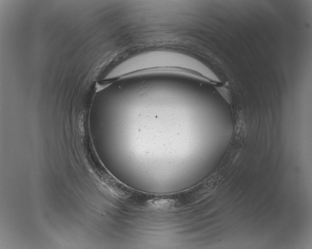 X0000076060452200610201952