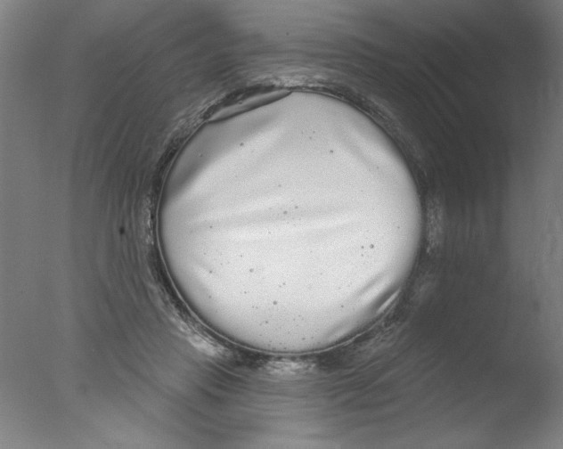 X0000076060453200610201952