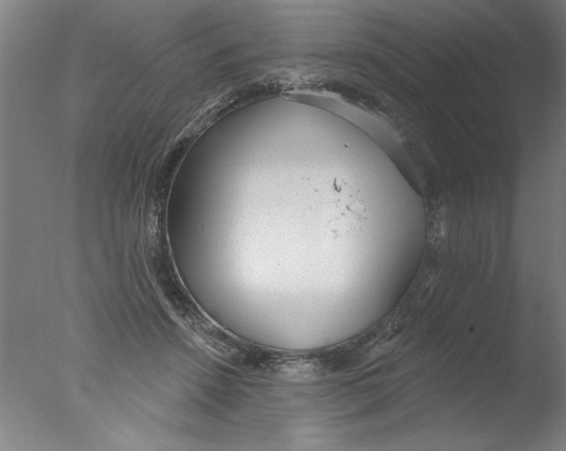 X0000076060456200610201952