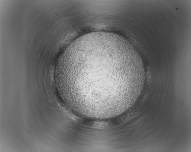 X0000076060458200610201952