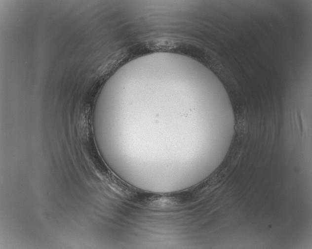 X0000076060460200610201952