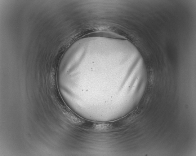 X0000076060461200610201952