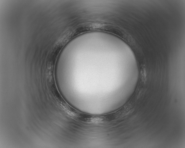 X0000076060462200610201952