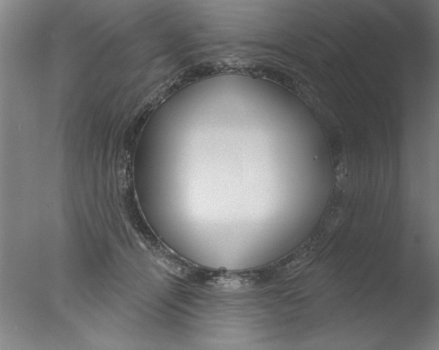 X0000076060464200610201952