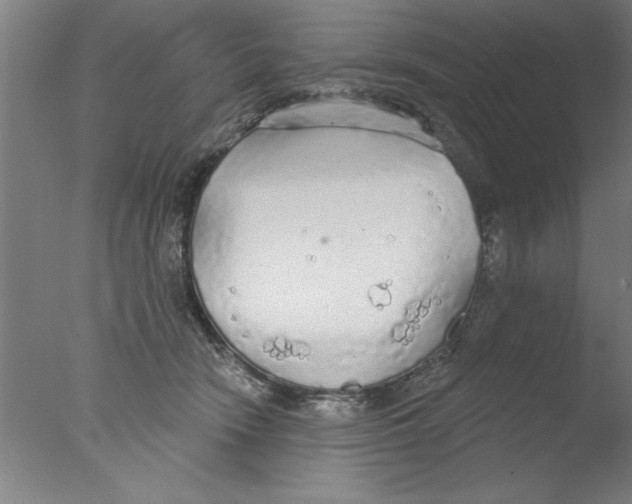 X0000076060466200610201953