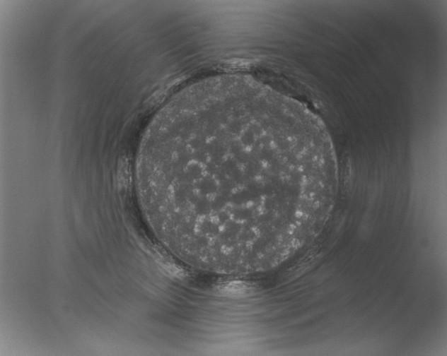 X0000076060467200610201953