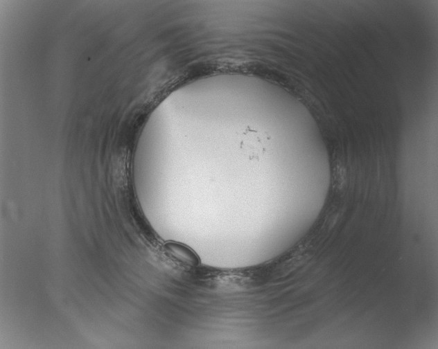 X0000076060468200610201953