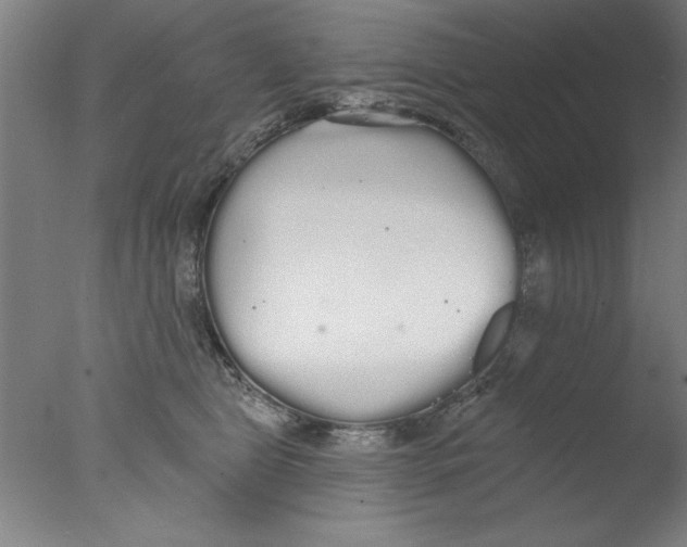 X0000076060469200610201953