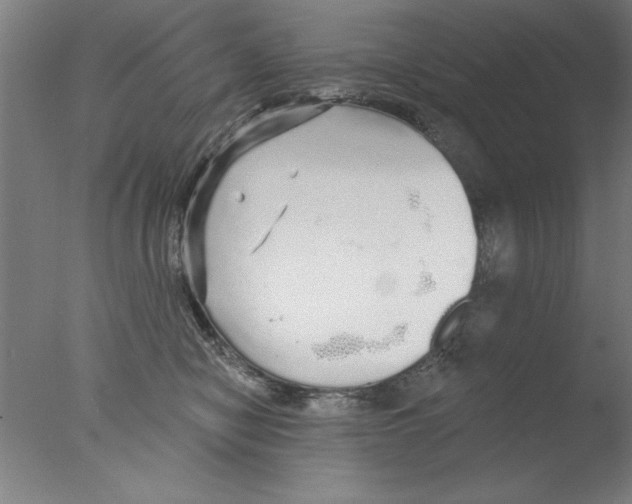 X0000076060470200610201953