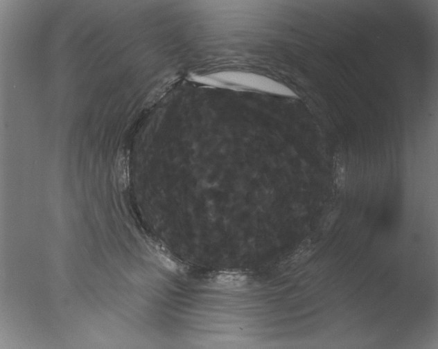 X0000076060471200610201953