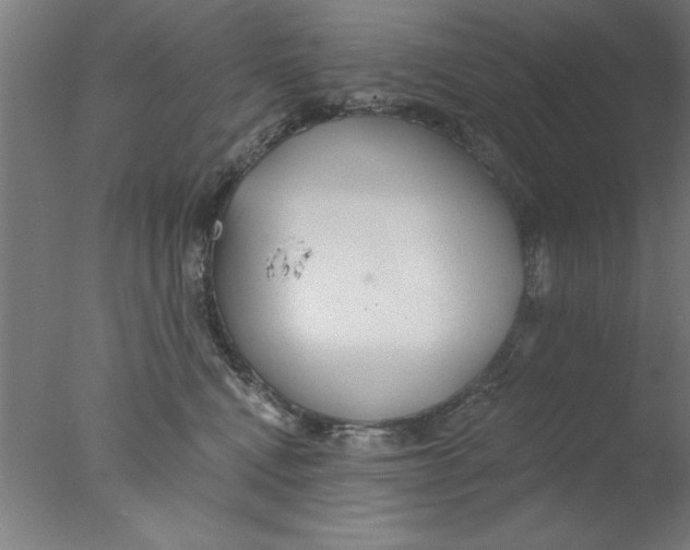 X0000076060472200610201953