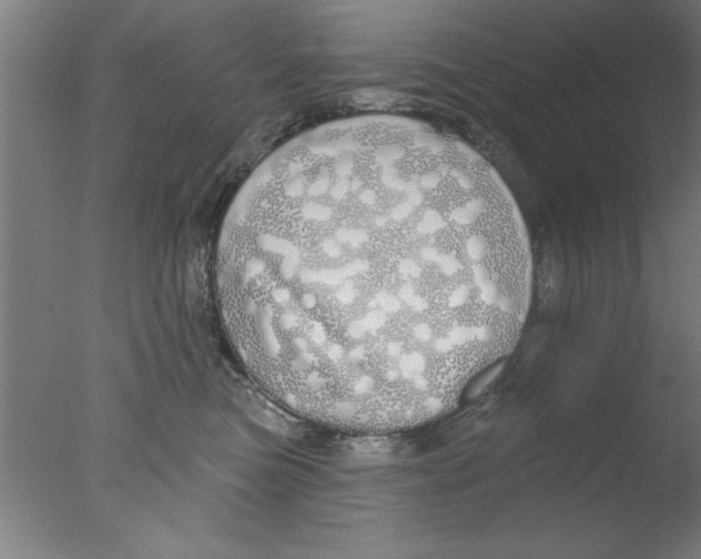 X0000076060473200610201953