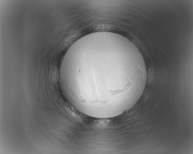 X0000076060474200610201953