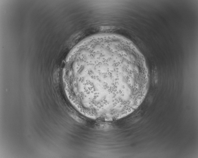 X0000076060475200610201953