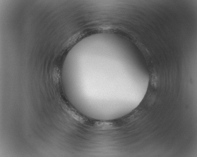 X0000076060476200610201953