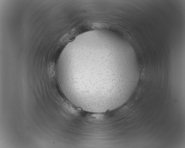 X0000076060478200610201953