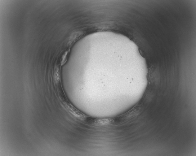 X0000076060479200610201953