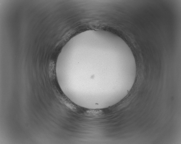 X0000076060480200610201953