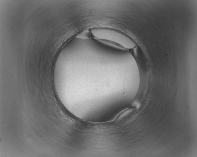 X0000076060481200610201952