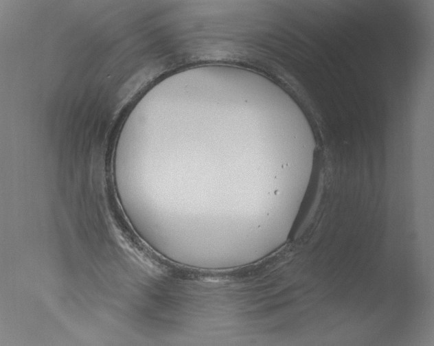 X0000076060482200610201952