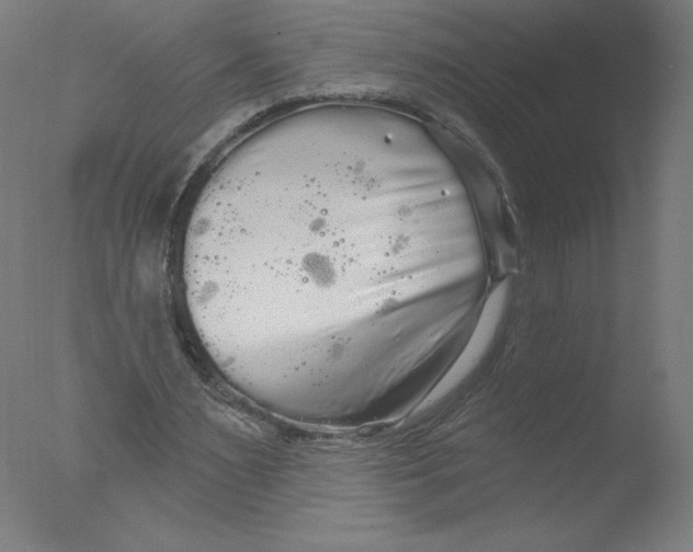 X0000076060483200610201952