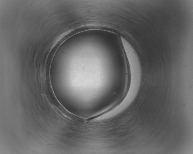 X0000076060484200610201952