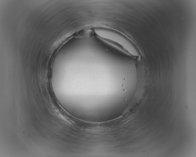 X0000076060485200610201952