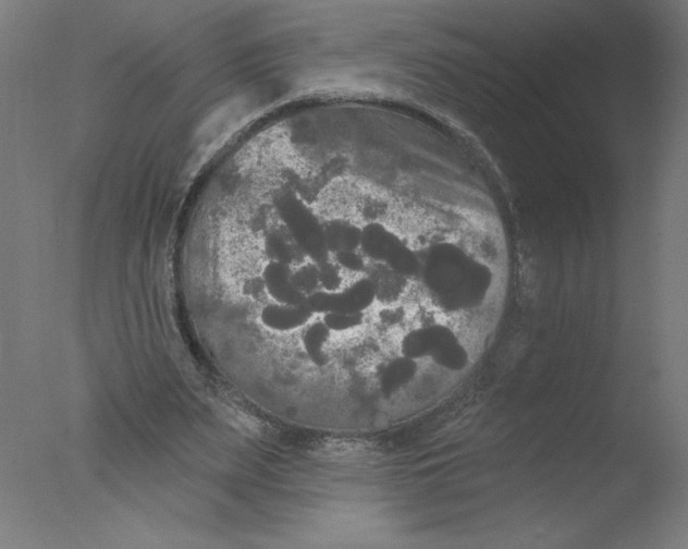 X0000076060487200610201952