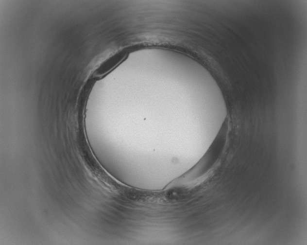 X0000076060488200610201952