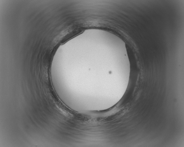 X0000076060489200610201952