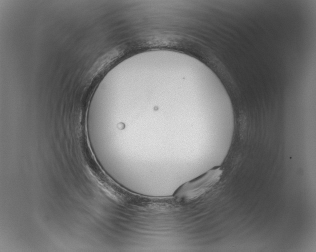 X0000076060490200610201952