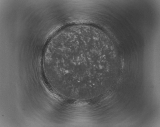 X0000076060491200610201952