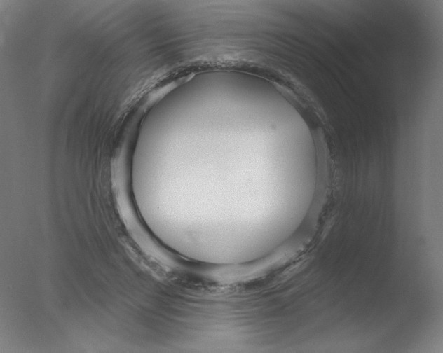 X0000076060493200610201952