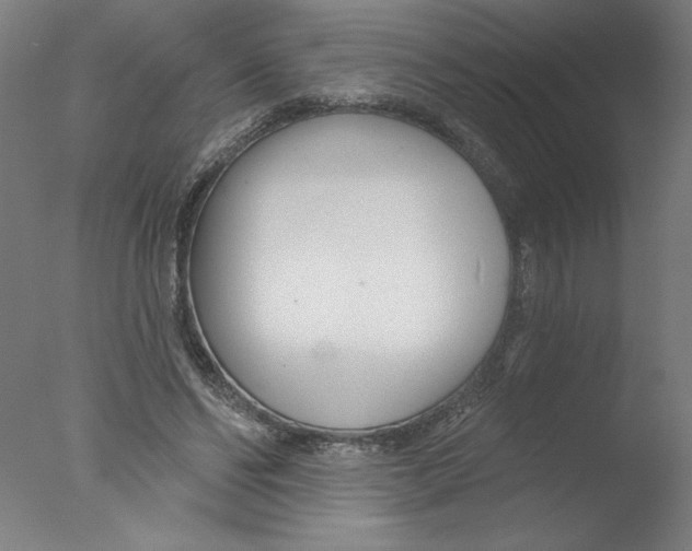 X0000076060494200610201952